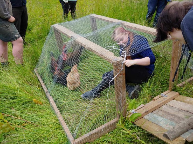 Chicken tractor