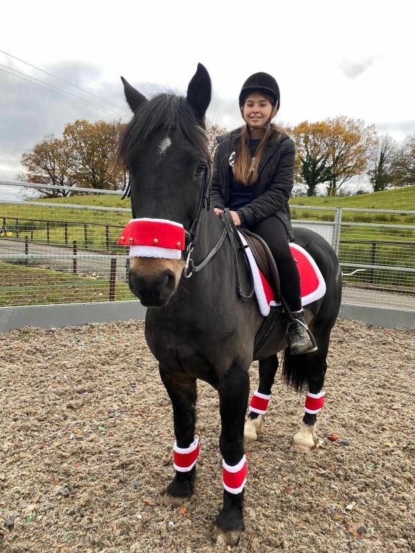 Festive ponies