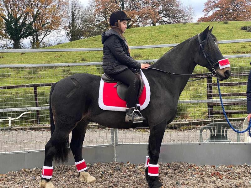 Santa Canter