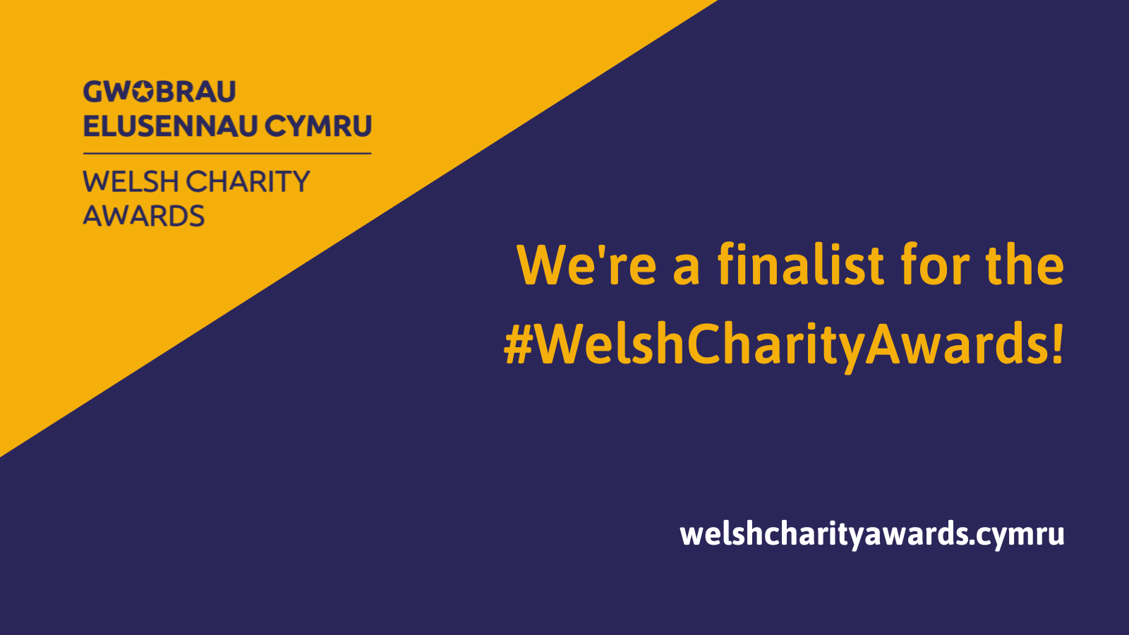 Welsh Charity Awards